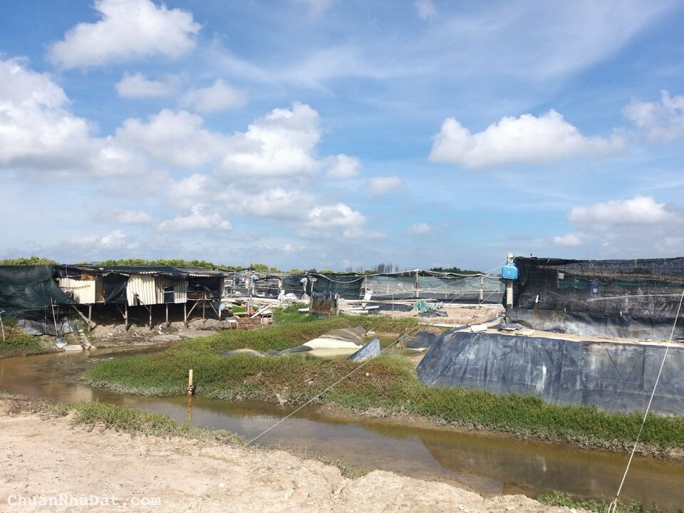 Bán đất đường xe hơi phường 12 Tp Vũng Tàu giá đầu tư 180 tỷ Bán đất đường xe hơi phường 12 Tp Vũng Tàu giá đầu tư 180 tỷ