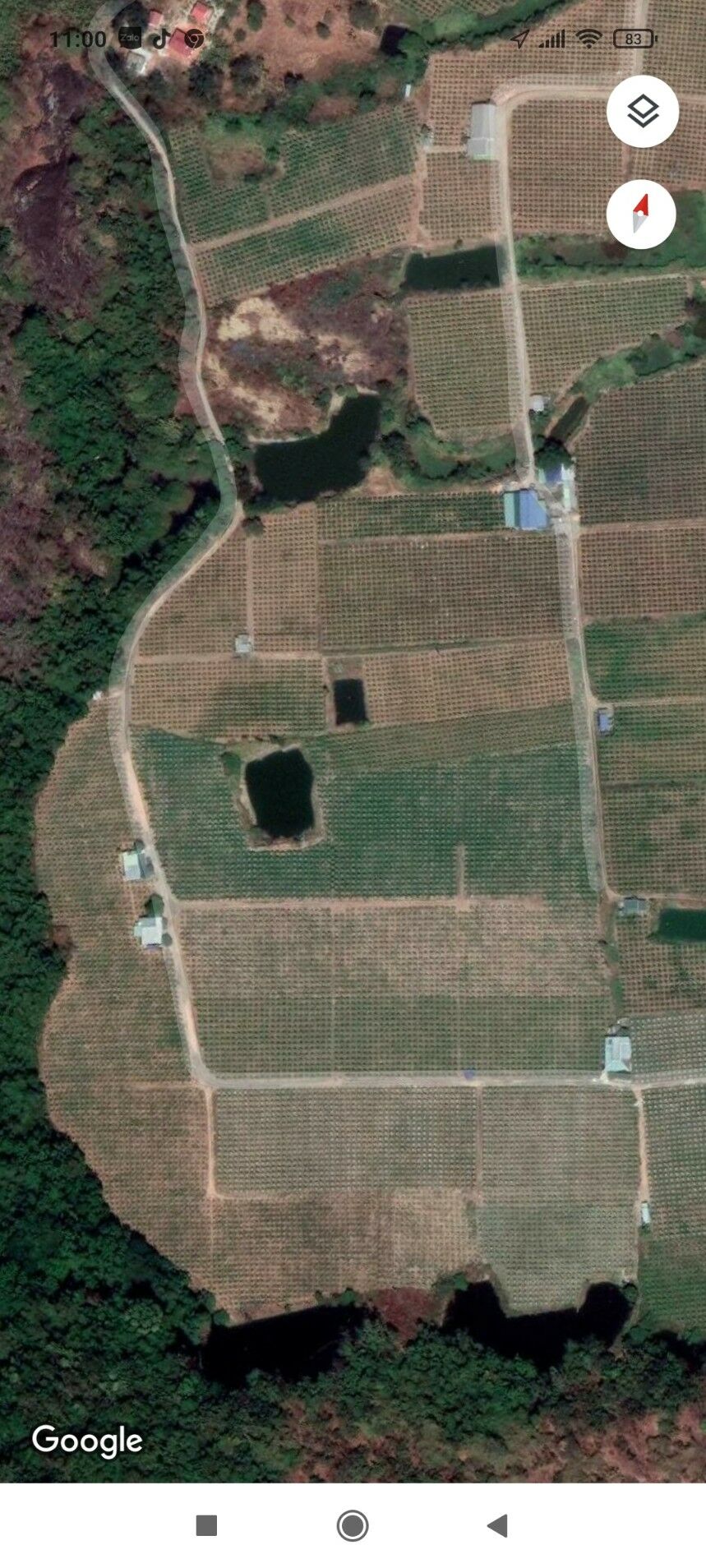 Bán vườn Thanh Long thôn Minh Hòa xã  Hàm Minh huyện Hàm Thuận Nam tỉnh Bình Thuận 