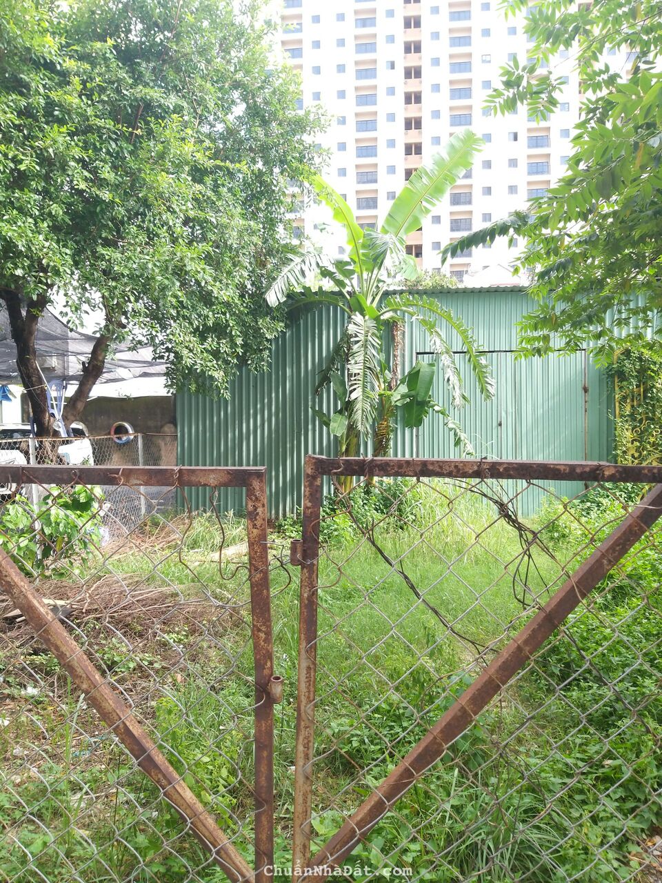 Bán đất mặt tiền  đường D4  phường An Khánh  Tp Thủ Đức giá 65 tỷ