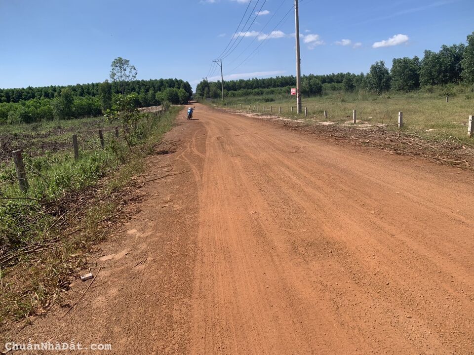 🛑Bán Gấp 22x77 Đường Phạm Thế Hiển, LaGi, Bình Thuận Giá Rẻ Đầu Tư 🛑Bán Gấp 22x77 Đường Phạm Thế Hiển, LaGi, Bình Thuận Giá Rẻ Đầu Tư