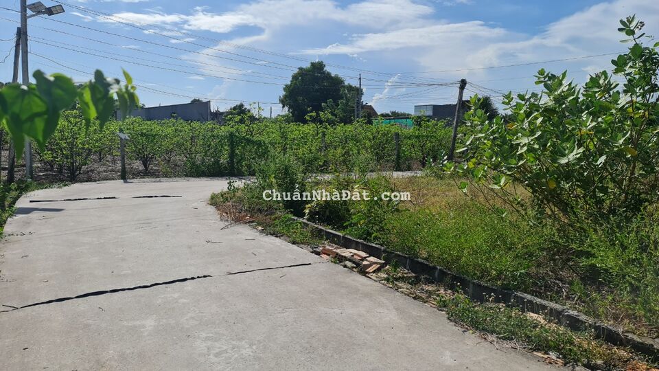 🛑Bán Nhanh 10x20 Full Thổ Đường ôtô, Gần Biển LaGi, Bình Thuận Giá Rẻ 🛑Bán Nhanh 10x20 Full Thổ Đường ôtô, Gần Biển LaGi, Bình Thuận Giá Rẻ