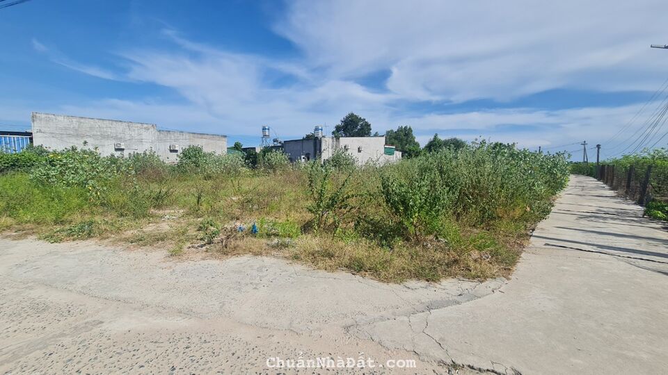 🛑Bán Gấp 22x22 Full Thổ Cách Biển 1km, LaGi, Bình Thuận Giá Rẻ