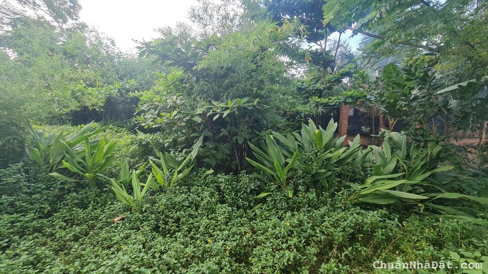 🛑7x54 Phường Tân An, Trung Tâm LaGi, Bình Thuận Giá Siêu HOT Đầu Tư