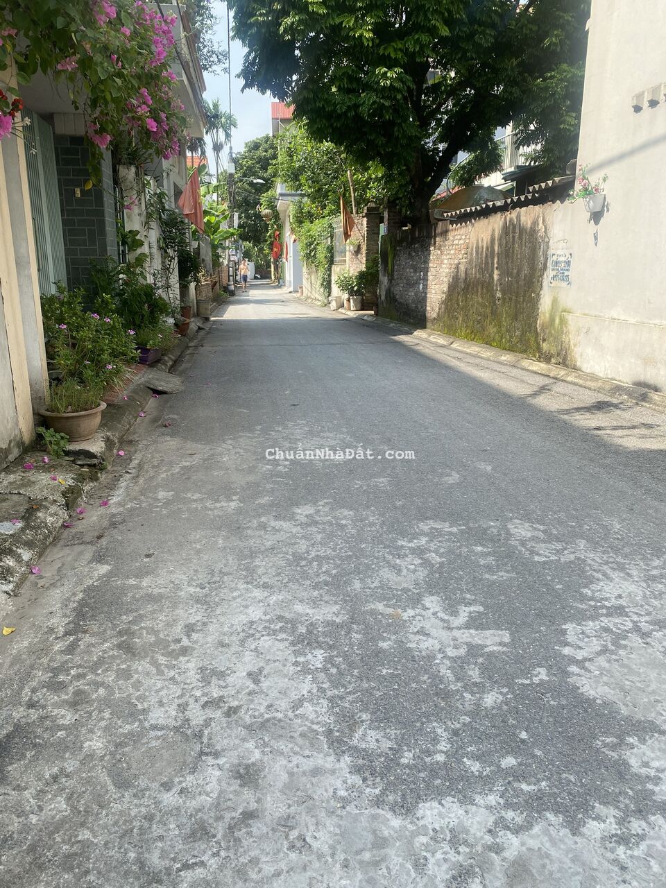 Vỡ nợ bán gấp lô đất đường thông ô tô Thôn Cam, Cổ Bi, Gia Lâm