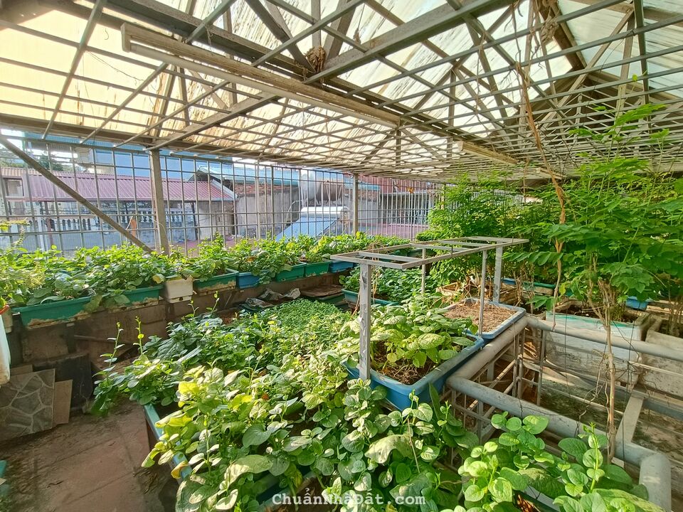 Bán nhà phố Hoàng Văn Thái, Quận Thanh Xuân, ngõ ô tô, diện tích 73m2, giá chỉ 12 tỷ 600 triệu