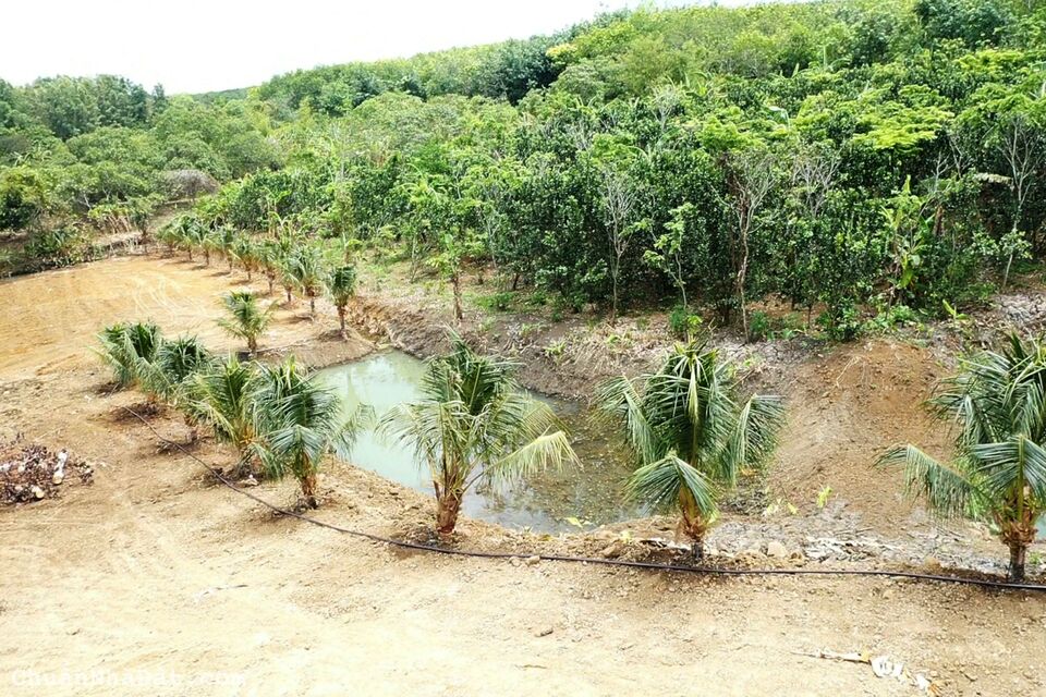 Đất nghỉ dưỡng tuyệt: Giáp Suối và Hồ Lớn, đón đường Vành Đai, Sân bay Long Thành. Giá 2 Triệu/m2