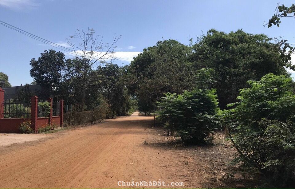 Chủ gửi bán gấp lô đất 23 x 58 - giá chưa tới 3tr/m2  tại trung tâm Sơn Mỹ