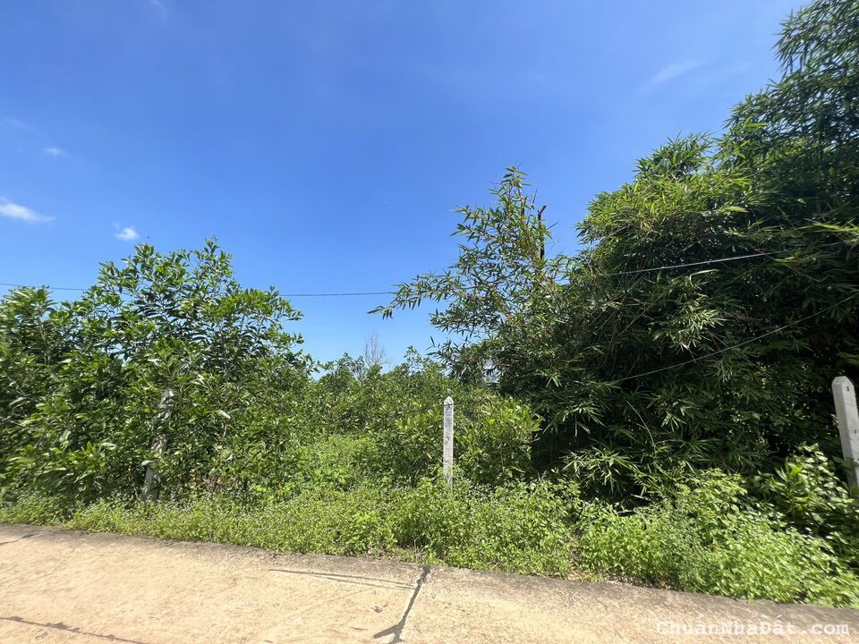 Chủ gửi bán gấp lô đất 23 x 58 - giá chưa tới 3tr/m2  tại trung tâm Sơn Mỹ