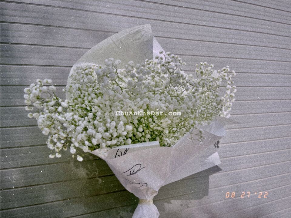 Bán đất tại Thiên Lôi , Vĩnh Niệm, Hải Phòng Bán đất tại Thiên Lôi , Vĩnh Niệm, Hải Phòng