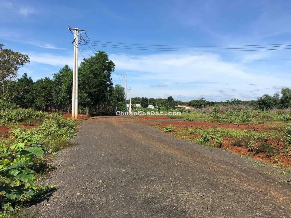 KHÔNG CÓ TG CHĂM SÓC NÊN  TÔI BÁN 6 SÀO (5.981M2)ĐẤT, 529TR/SHR, TIỆN Ở, XÂY TRỌ, KD