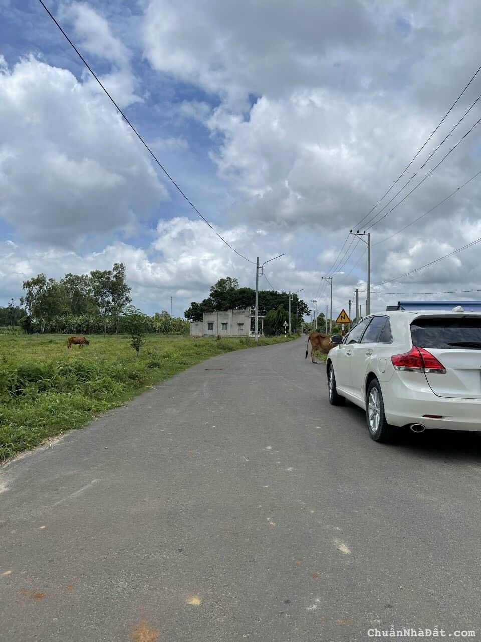 BÁN 6.250M2 ĐẤT CHỈ VỚI 540TR. SHR. TIỆN Ở, XÂY TRỌ, KD. GẦN KCN SÁT CHỢ, TRƯỜNG , TTTM