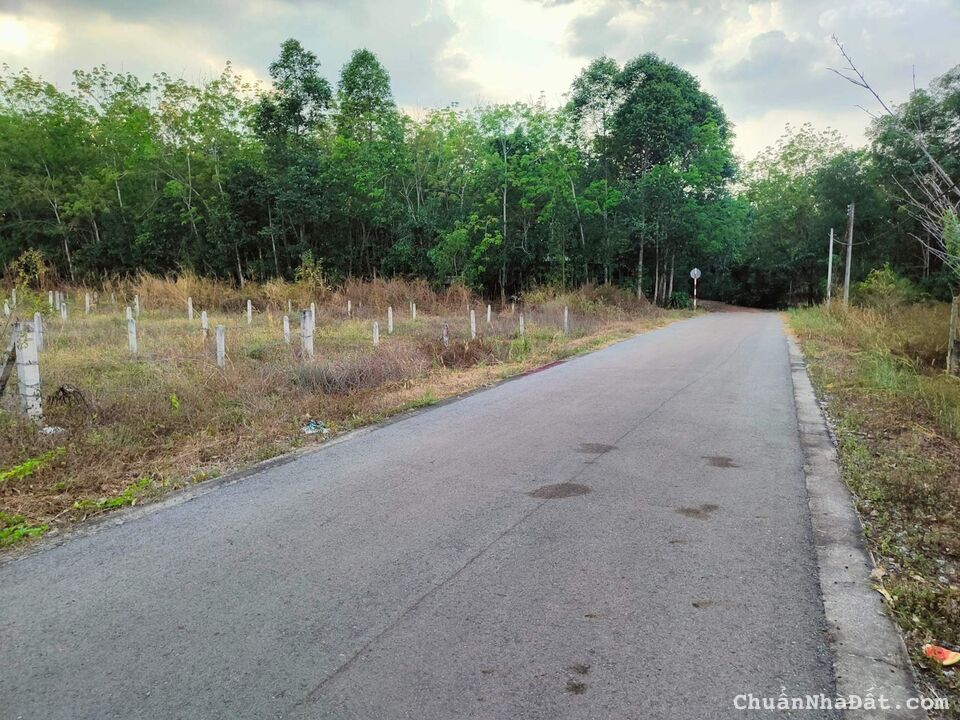 Bán đất an lập, dầu tiếng. Dt 5*74 tc 100m2, giá 890tr tl nhẹ lh0384329615 luyến