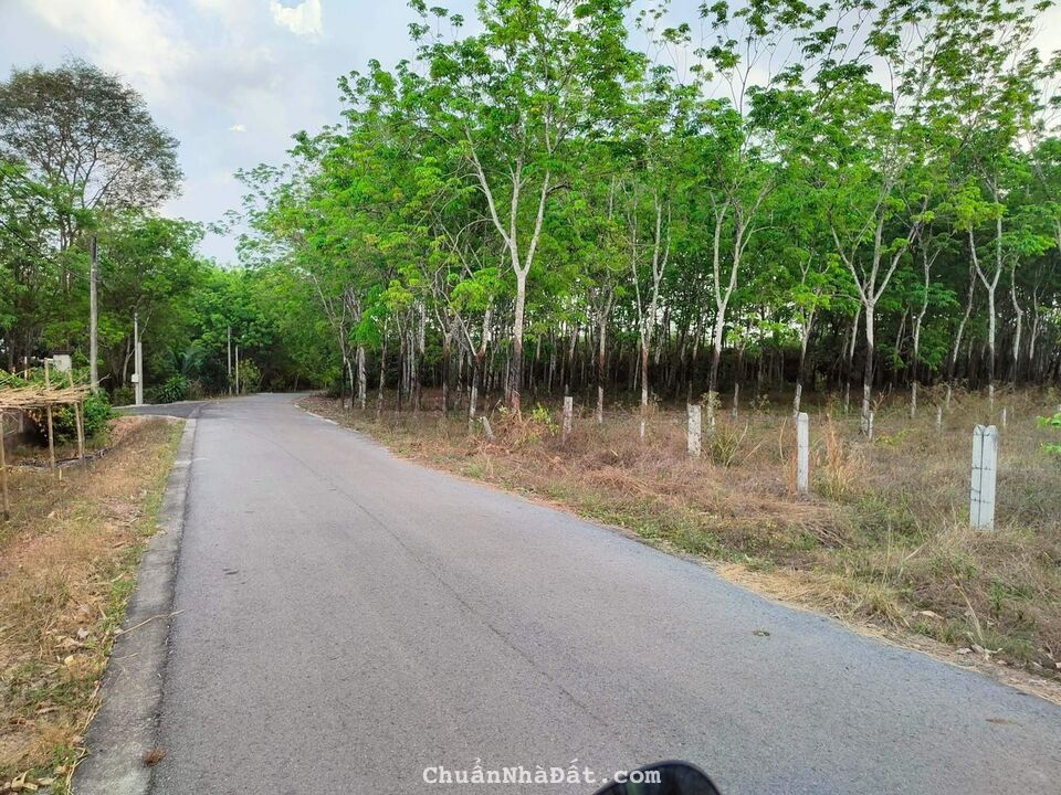 Bán đất an lập, dầu tiếng. Dt 5*74 tc 100m2, giá 890tr tl nhẹ lh0384329615 luyến