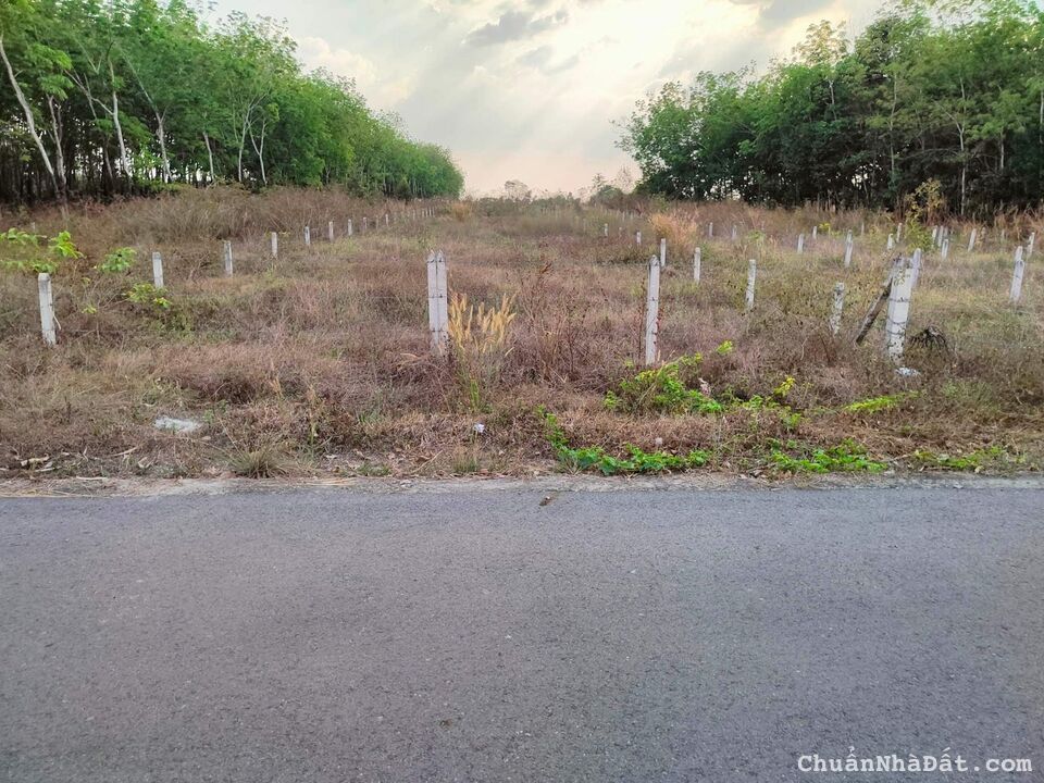 Bán đất an lập, dầu tiếng. Dt 5*74 tc 100m2, giá 890tr tl nhẹ lh0384329615 luyến