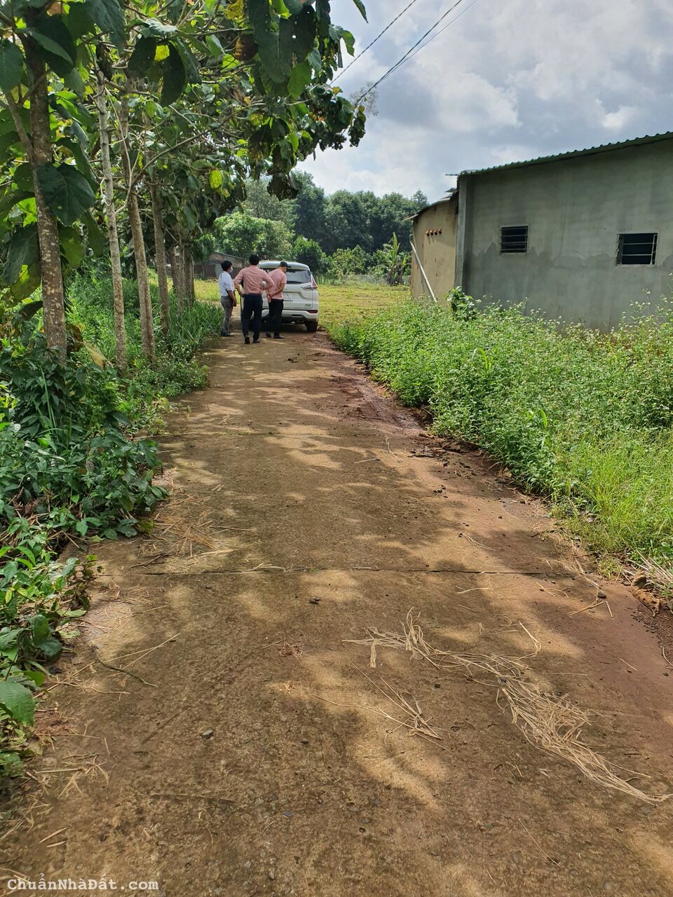 Đất thổ cư đẹp KCN Ledana Lộc Ninh, Bình Phước