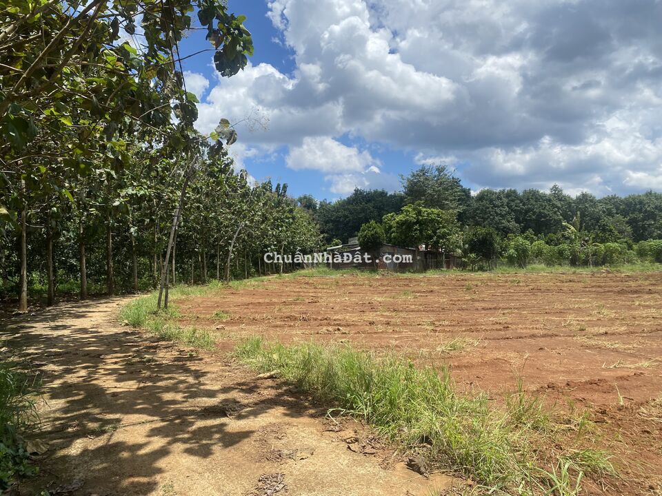 Đất thổ cư đẹp KCN Ledana Lộc Ninh, Bình Phước