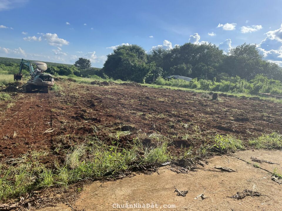 6 lô đất chính chủ cần bán ngay KCN Ledana Bình Phước