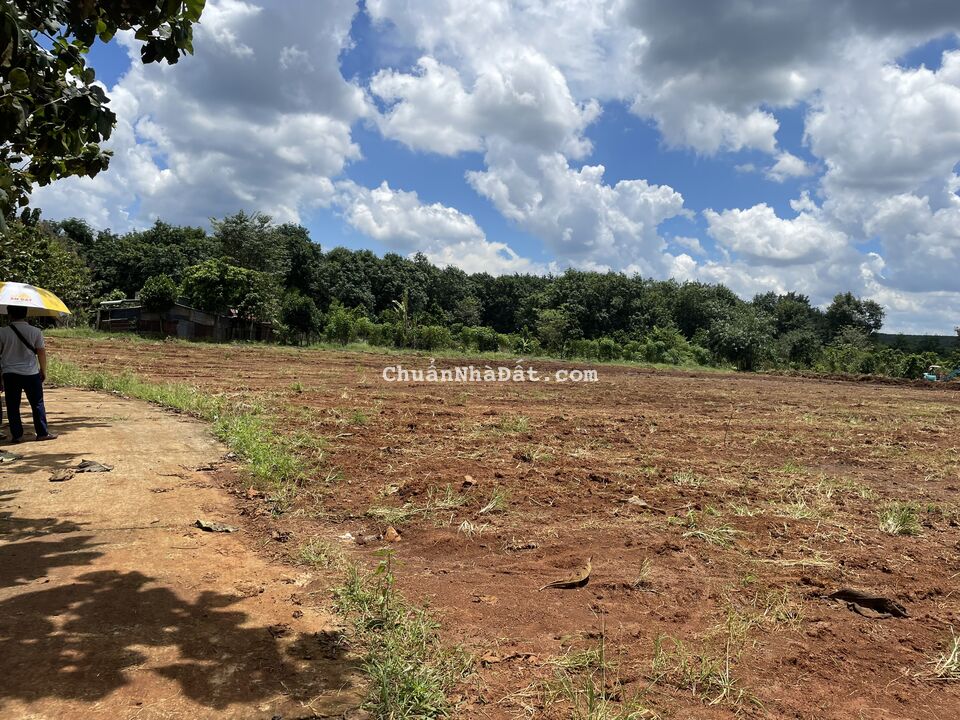 Đất thổ cư 200m2 ngay KCN Lộc NInh, Bình Phước