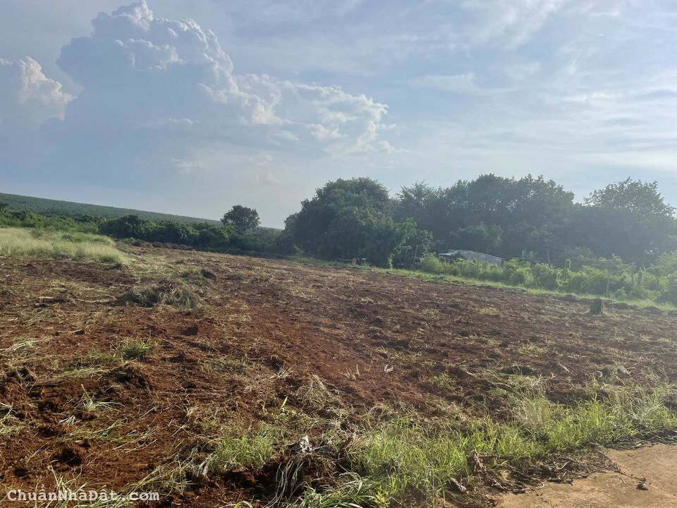 6 lô đất chính chủ cần bán ngay KCN Ledana Bình Phước