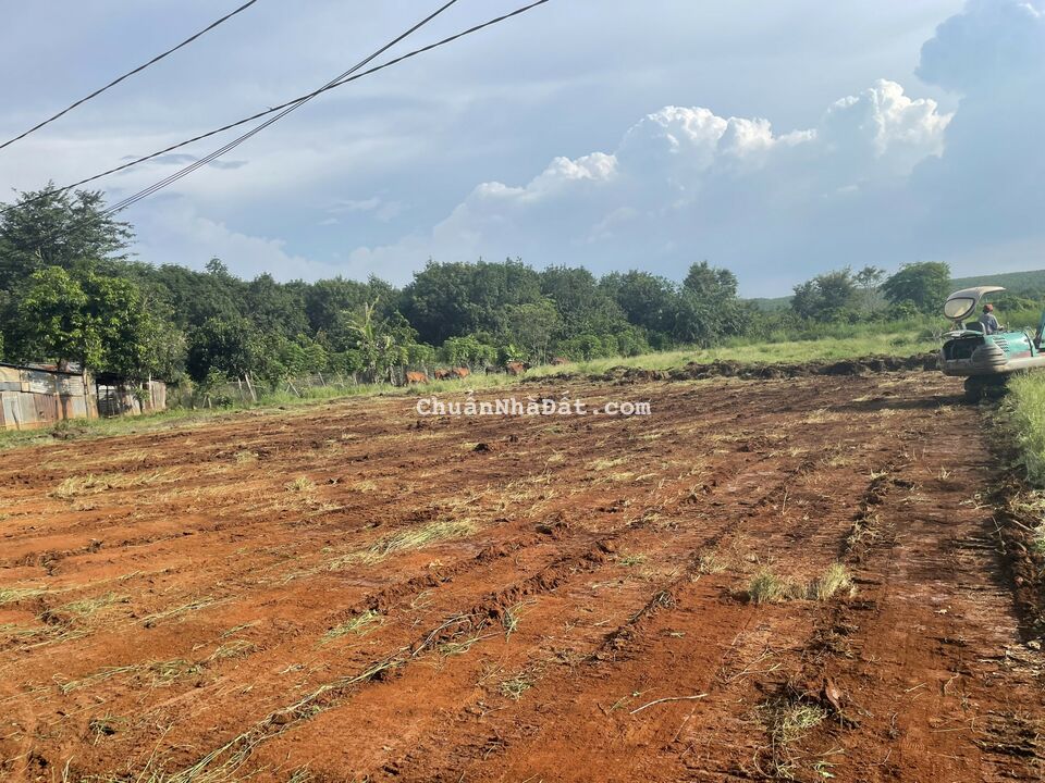 Đất bán lộc ninh bình phước xã lộc thành vị trí đất quốc lộ 13 vào 400 mét nhé 