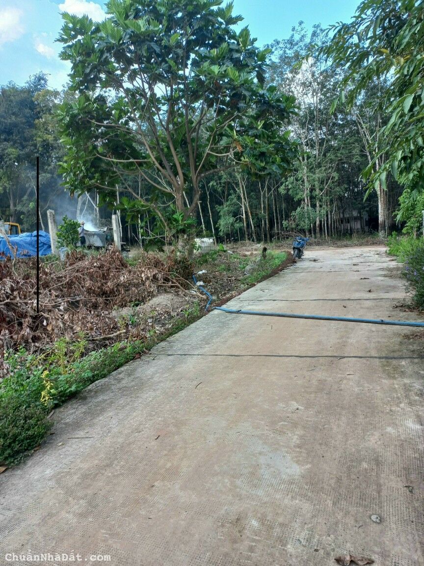 Đất Bán thị xã chơn thành minh hưng hàn quốc 