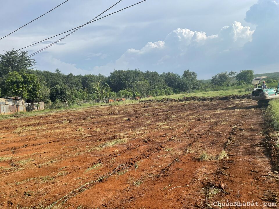 Đất nền đầu tư đón xu hướng cụm công nghiệp lộc ninh bình phước 