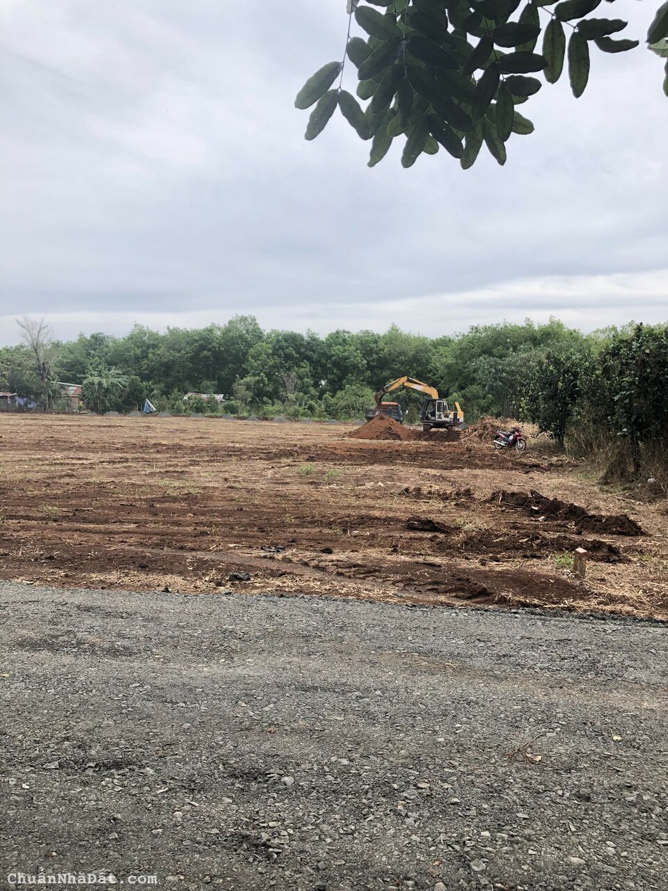 Đất lộc ninh bình phước sổ sẵn giá dẻ bất ngờ cho nhà đầu tư đất nhé 