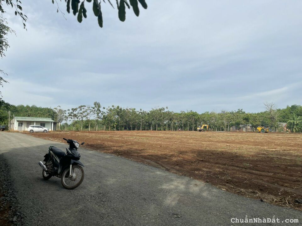 Đất lộc ninh bình phước sổ sẵn giá dẻ bất ngờ cho nhà đầu tư đất nhé 