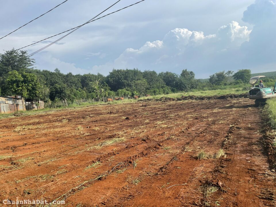 Đất bán lộc ninh đóng đầu tư xu hướng lợi nhuận cao như ý Đất bán lộc ninh đóng đầu tư xu hướng lợi nhuận cao như ý