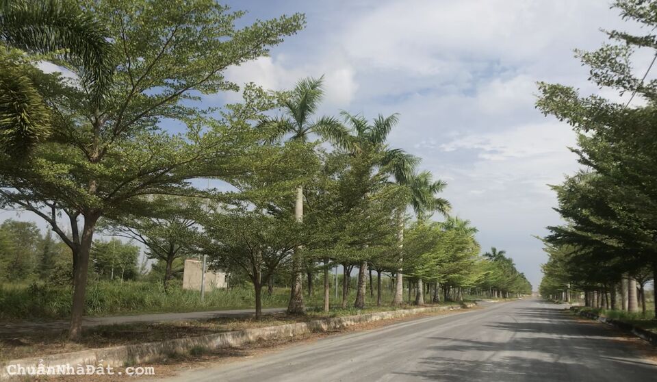 Đất bán khu dân cư Daresco Đức Hoà 3 Long An