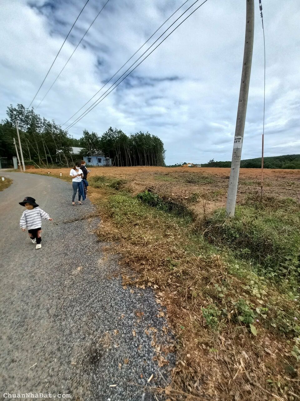 Đất Bình Phước mặt tiền đường nhựa, gần trường học khu dân cư hiện hữu