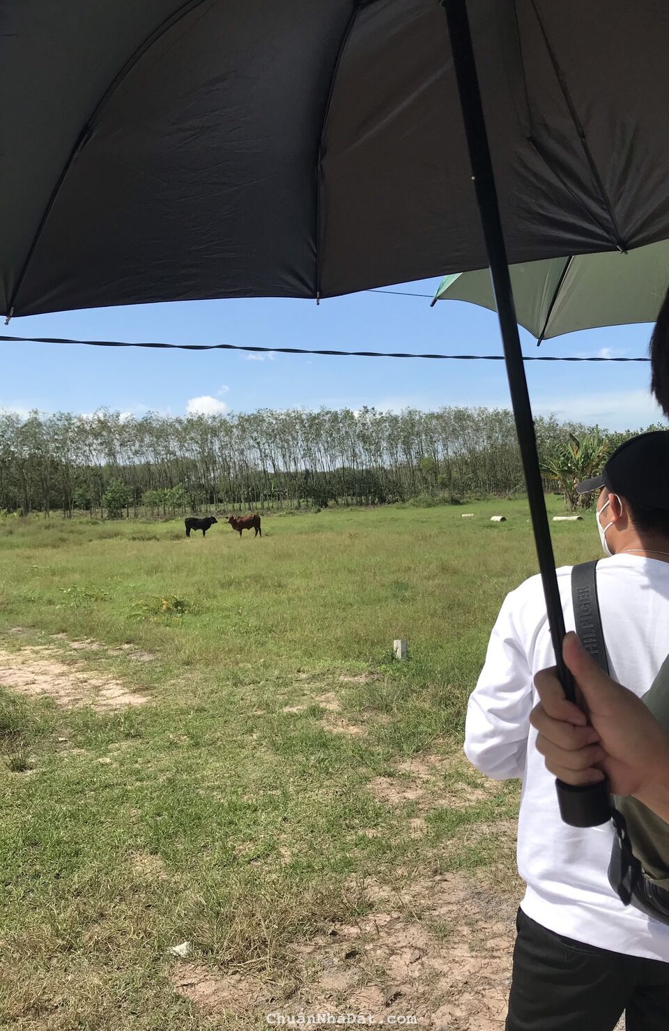 ĐẤT NỀN THANH HÓA ĐẦU TƯ RẺ NHẤT THỊ TRƯỜNG