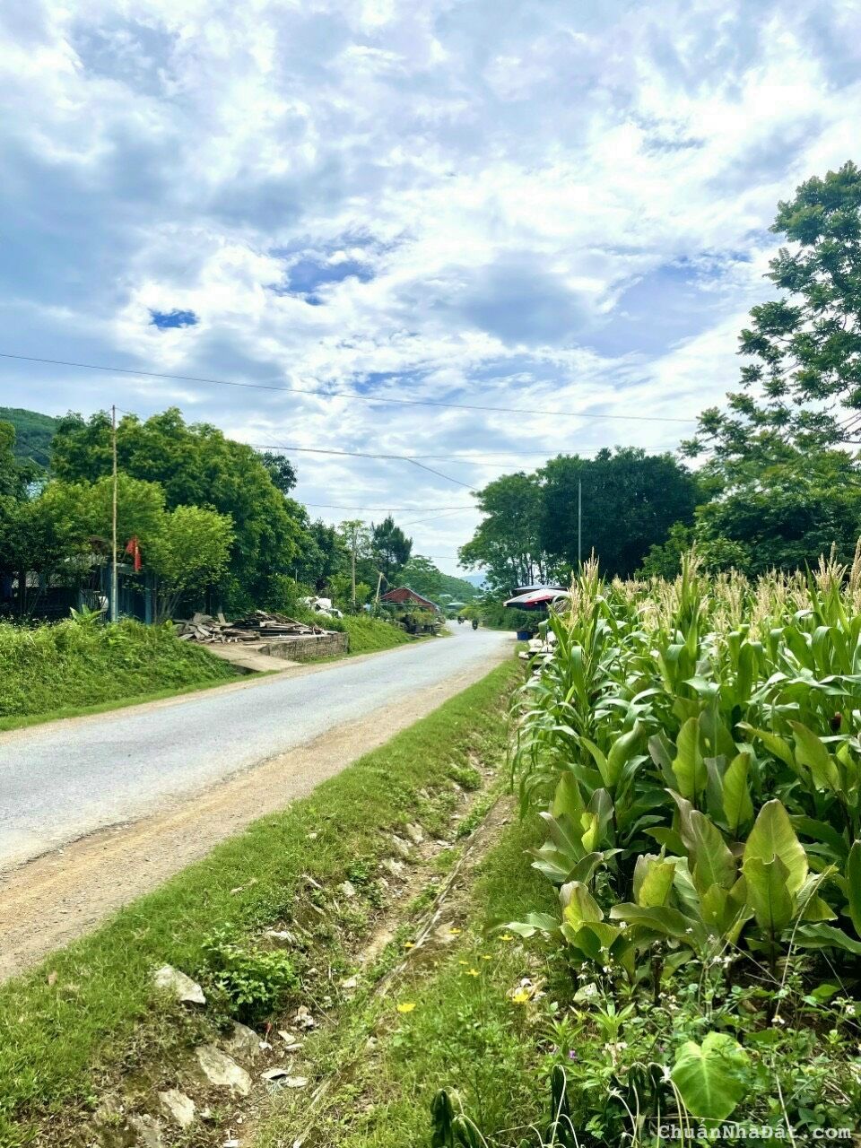 Duy nhất 1 lô Thị trấn Đà Bắc Hòa Bình bám tỉnh lộ 433,510m,mặt tiền 15m,chỉ 1,4 tỷ,kinh doanh được