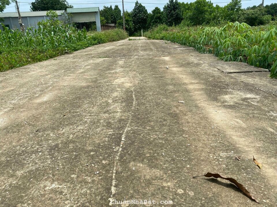 Bán mảnh đất cực đẹp tại Tân Xã, 2 mặt tiền siêu thoáng, 68m, cách ĐH FPT 800m, nhỉnh 1 tỷ.