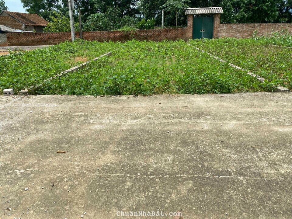 Bán mảnh đất cực đẹp tại Tân Xã, 2 mặt tiền siêu thoáng, 68m, cách ĐH FPT 800m, nhỉnh 1 tỷ.