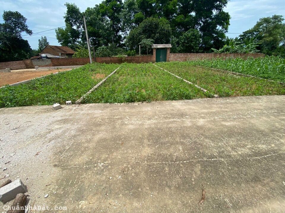 Bán mảnh đất cực đẹp tại Tân Xã, 2 mặt tiền siêu thoáng, 68m, cách ĐH FPT 800m, nhỉnh 1 tỷ.