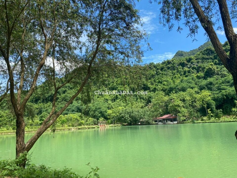  Lô góc đẹp 3 mặt tiền tọa lạc ngã 4 Hòa Bình,mặt tiền 50m, ô tô tránh, 1446m full thổ cư, hơn 3 tỷ