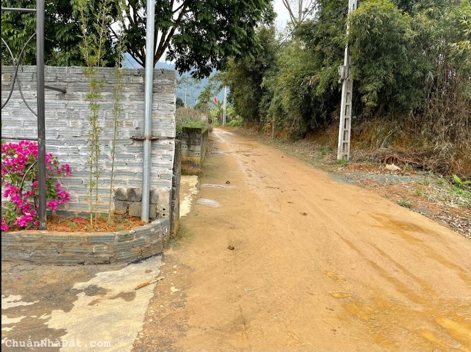 Chính chủ cần bán 60m2 full thổ, 300m ra Tỉnh lộ 420, sẵn sổ, thích hợp xây nhà trọ. Tài chính nhỏ Chính chủ cần bán 60m2 full thổ, 300m ra Tỉnh lộ 420, sẵn sổ, thích hợp xây nhà trọ. Tài chính nhỏ