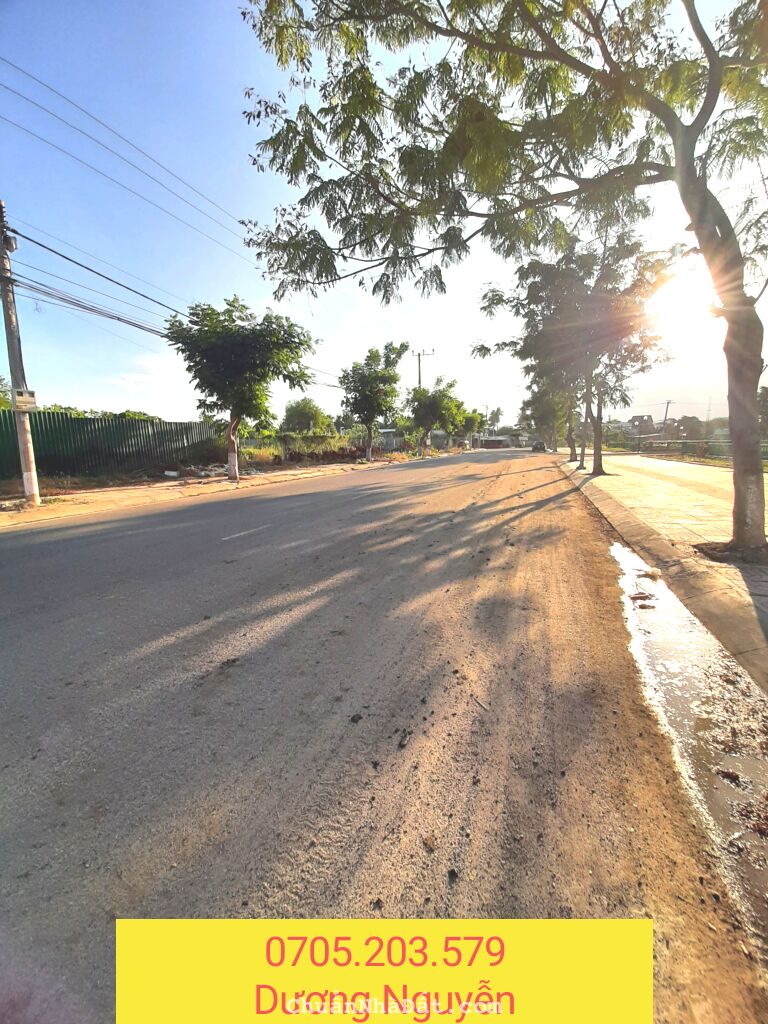 Cho thuê 1050m2 đất TMDV sau lưng Bảo Tàng mặt tiền Ng Công Trứ