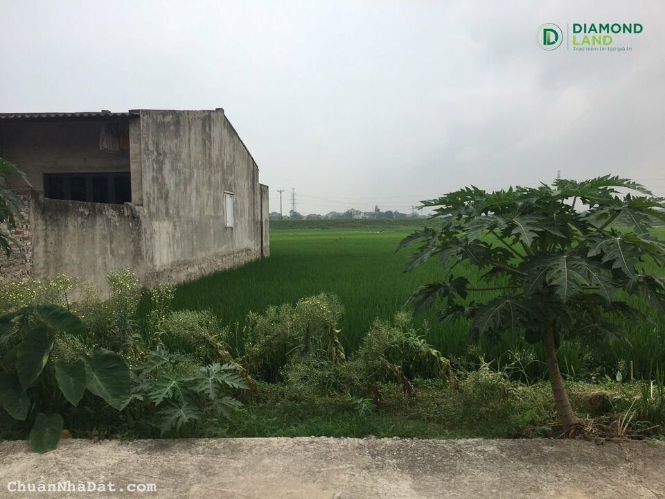 150m2 Đông Xuân - Sóc Sơn ( 1x/m2 - x sơ Sinh ) 150m2 Đông Xuân - Sóc Sơn ( 1x/m2 - x sơ Sinh )