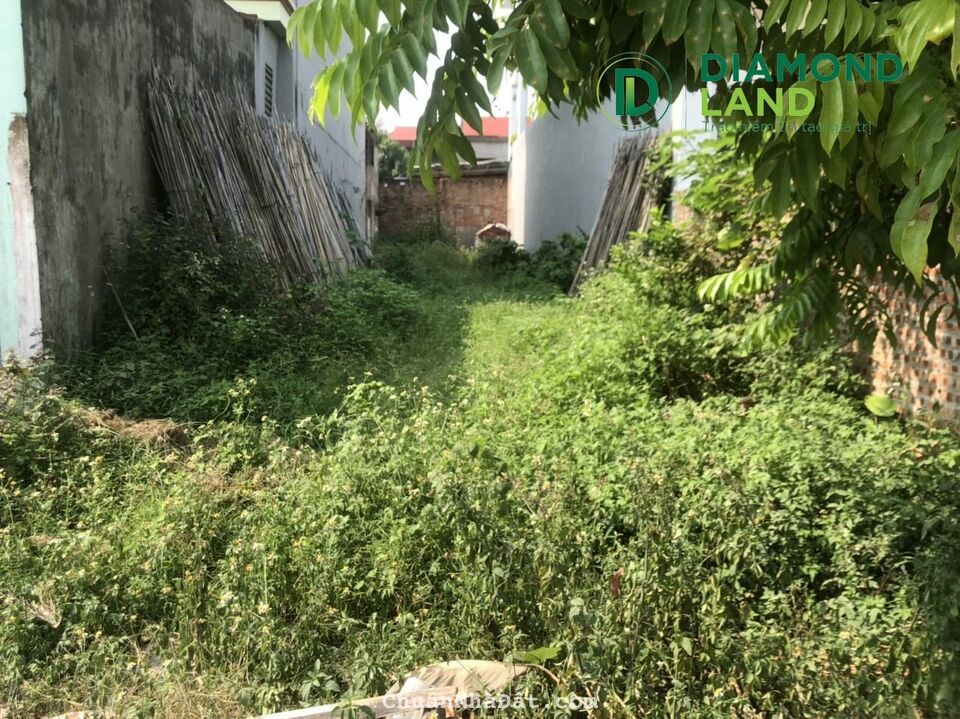 135m2 Hoàng Dương - Mai Đình - Sóc Sơn 0949313223