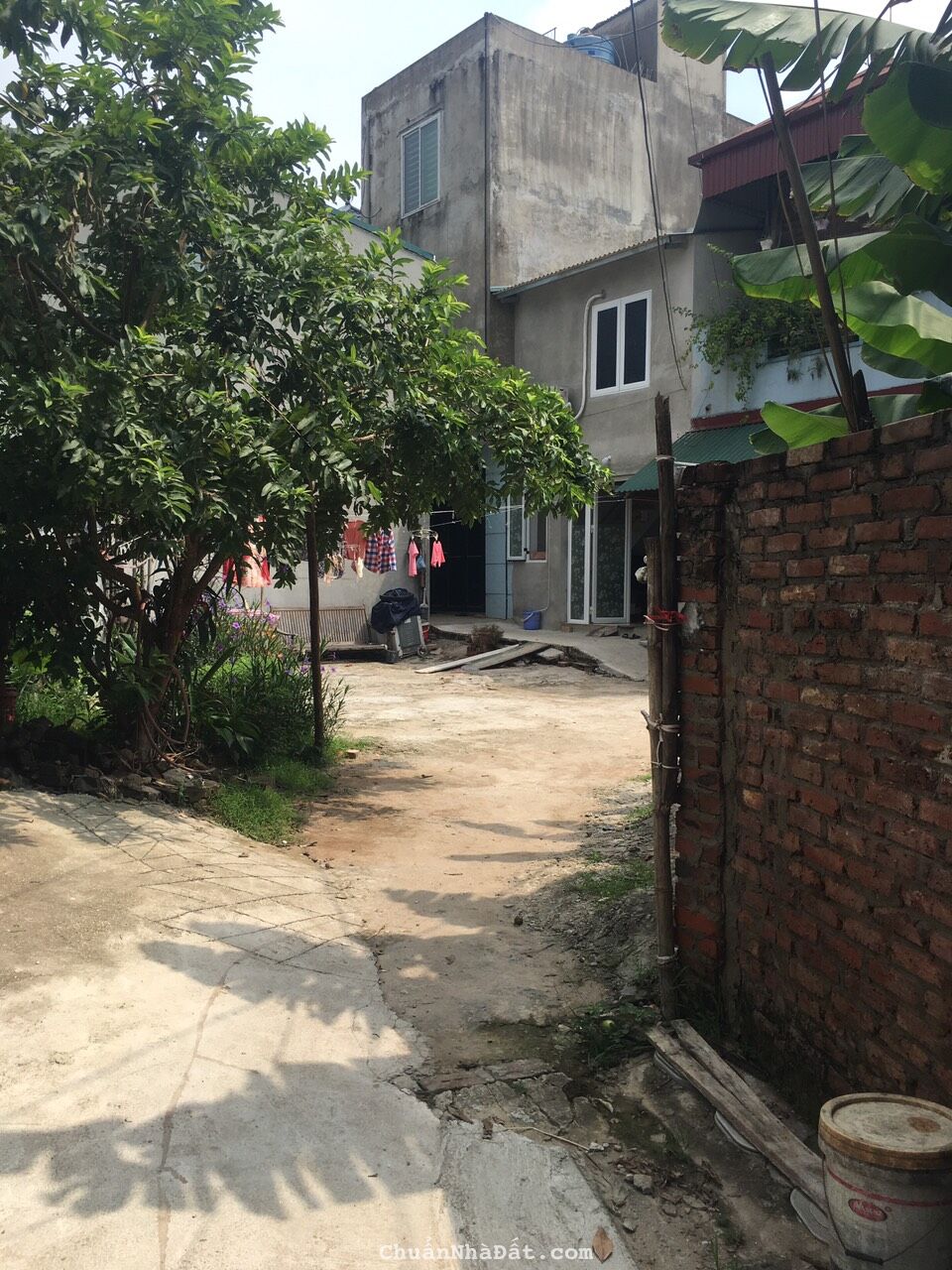 46m2 Thái Bình- Mai Lâm- Đông Anh ( 2X/m2 )