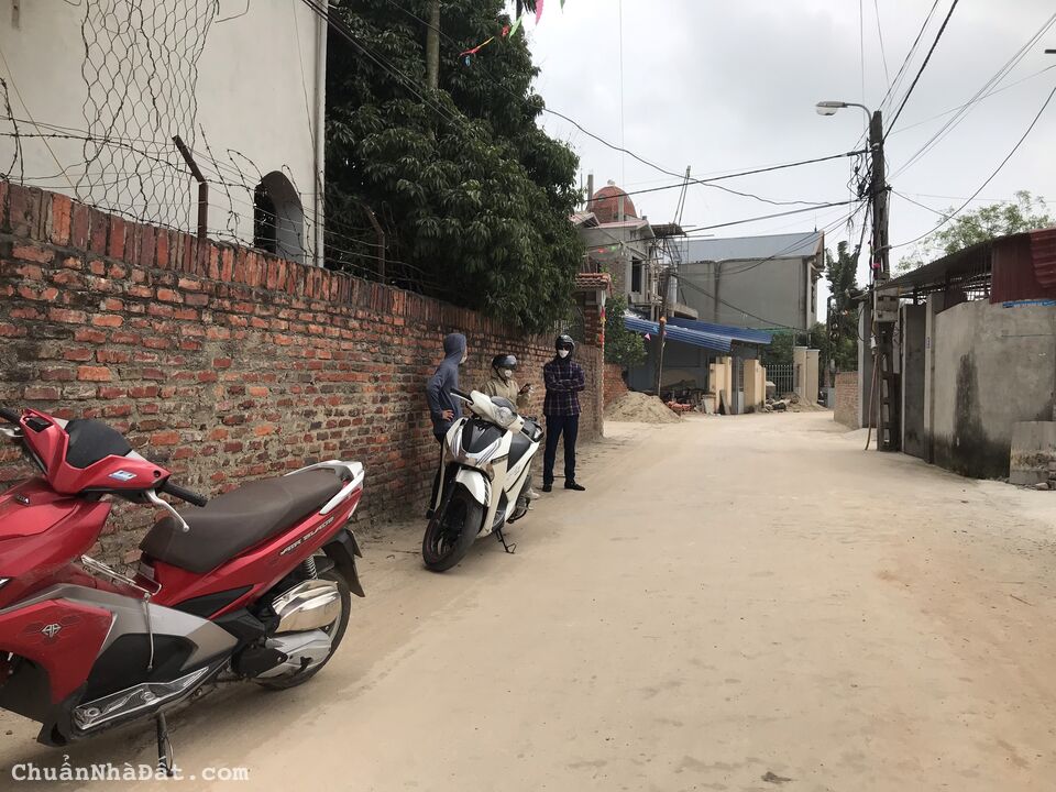 779m2 Sơn Đông - Tân Minh - Sóc Sơn ( 11.5Xu/m2 )