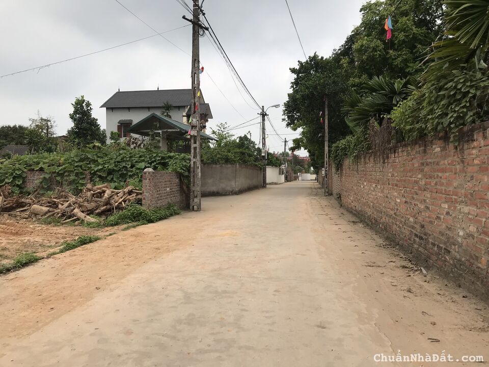 779m2 Sơn Đông - Tân Minh - Sóc Sơn ( 11.5Xu/m2 )