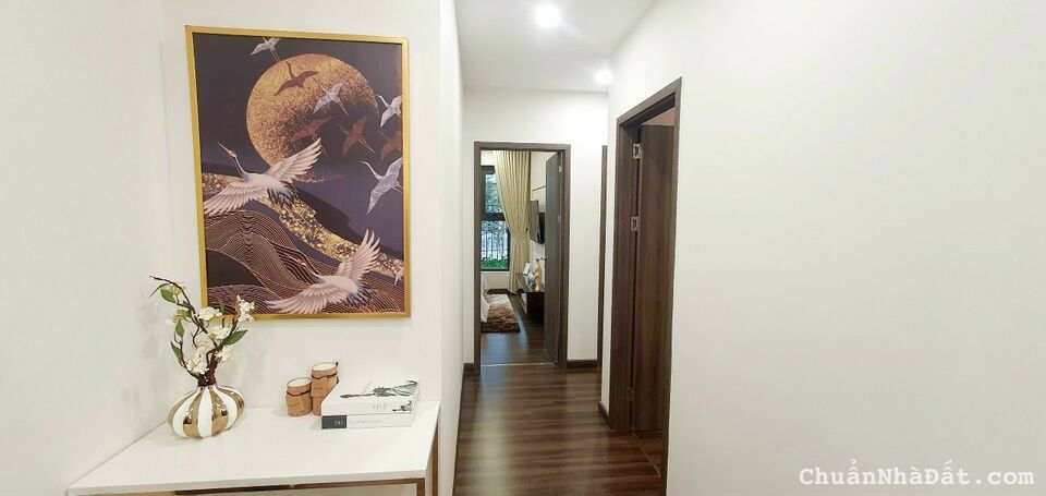 Chỉ với 700tr đầu tư sinh lời lên đến 300tr ngay năm đầu tiên bàn giao căn hộ