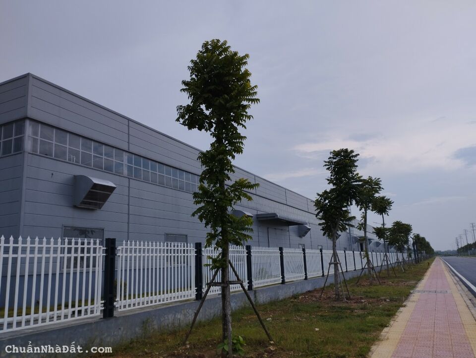 Cho thuê kho xưởng 2.000m2, 3.000m3, 6.000m2 đến 20.000m2 thép zamil tại Vân Trung, Quế Võ, giá rẻ.