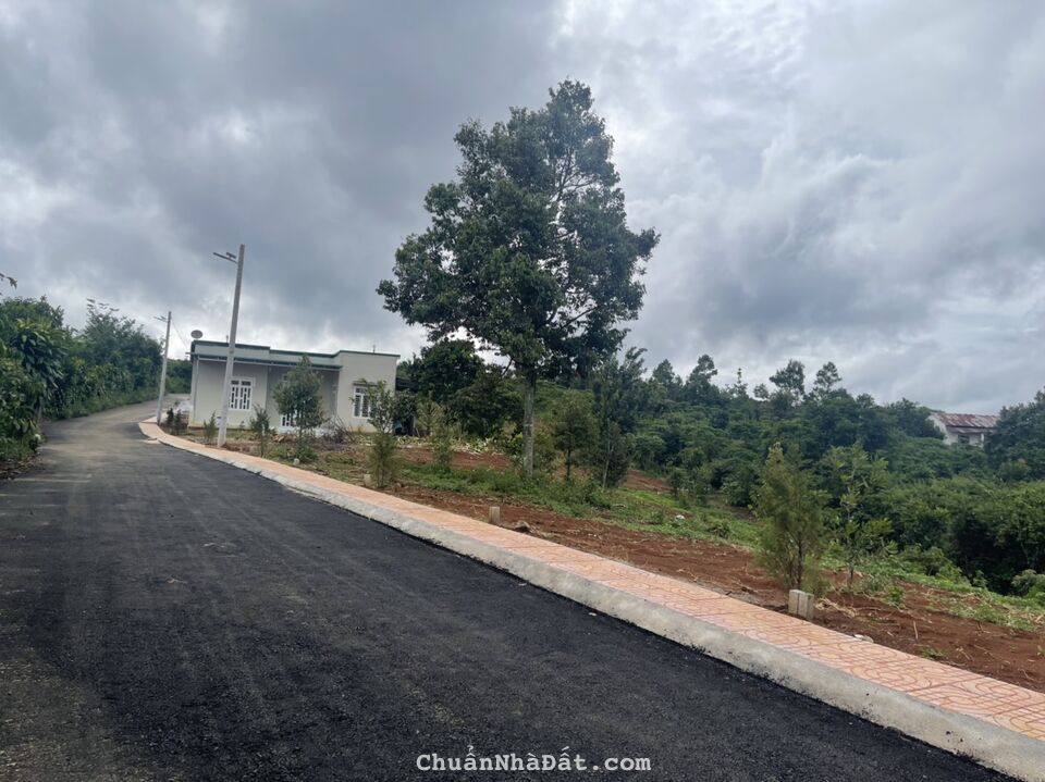 BÁN GẤP LÔ THỔ CƯ MẶT TIỀN ĐƯỜNG NHỰA 35M CÁCH QL20 7 PHÚT BÁN GẤP LÔ THỔ CƯ MẶT TIỀN ĐƯỜNG NHỰA 35M CÁCH QL20 7 PHÚT