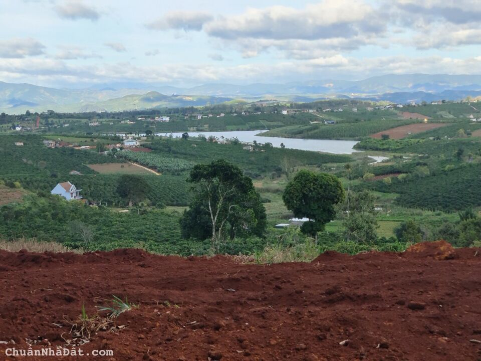 Cần bán gấp khu đất giá rẻ đã tách 8 sổ hồ Phúc Thọ