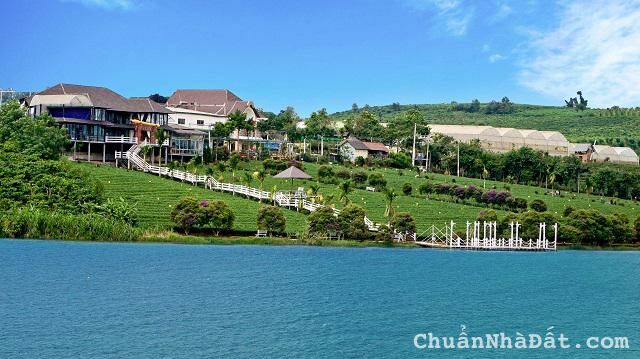 Cần bán gấp khu đất giá rẻ đã tách 8 sổ hồ Phúc Thọ