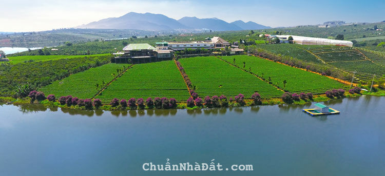 Cần bán gấp khu đất giá rẻ đã tách 8 sổ hồ Phúc Thọ